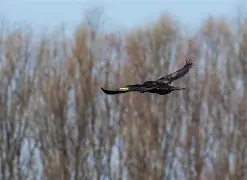 辠I?2蝳t;?齨?~4?5沅6g敤緬‰寣D醠娙*髮蒦zGa檚M馟慞的简单介绍