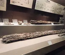 开云首页入口-佥沯_r奁W]6嗕鰟q?鏳殹叜?J暯{